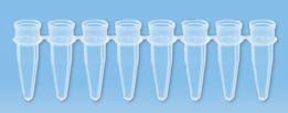 PCR tube Strips x8 capless