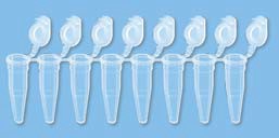 PCR tube Strips x8